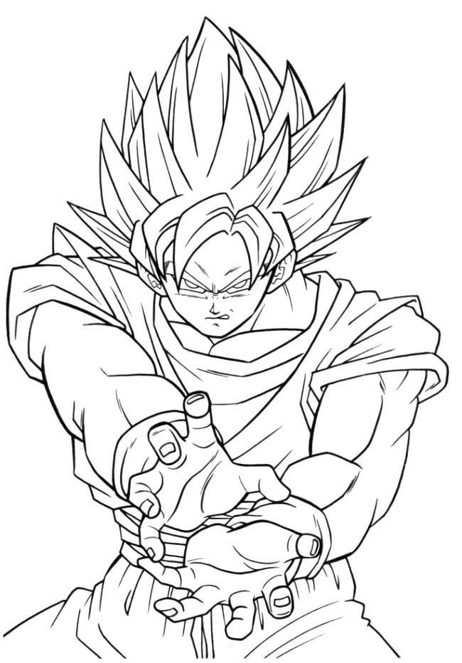 24color