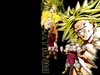 broli1