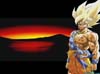 goku13